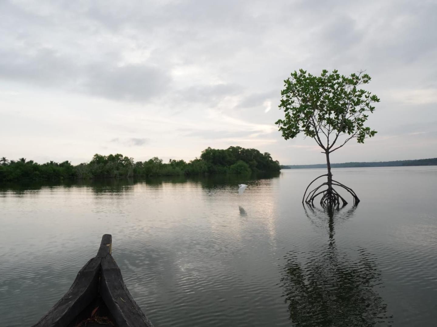 Bliss Homestay Munroe Island Mundrothuruth 外观 照片
