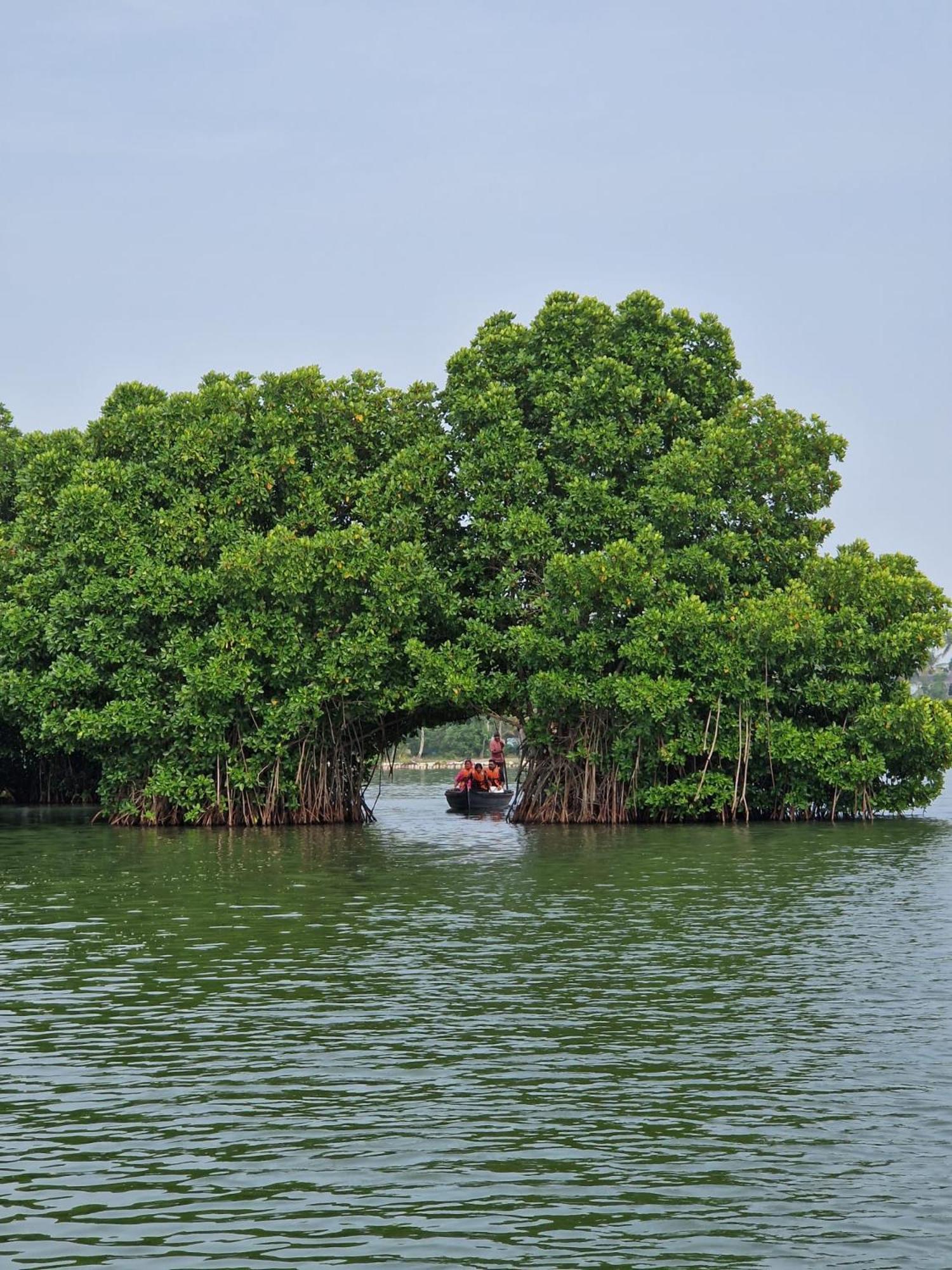 Bliss Homestay Munroe Island Mundrothuruth 外观 照片