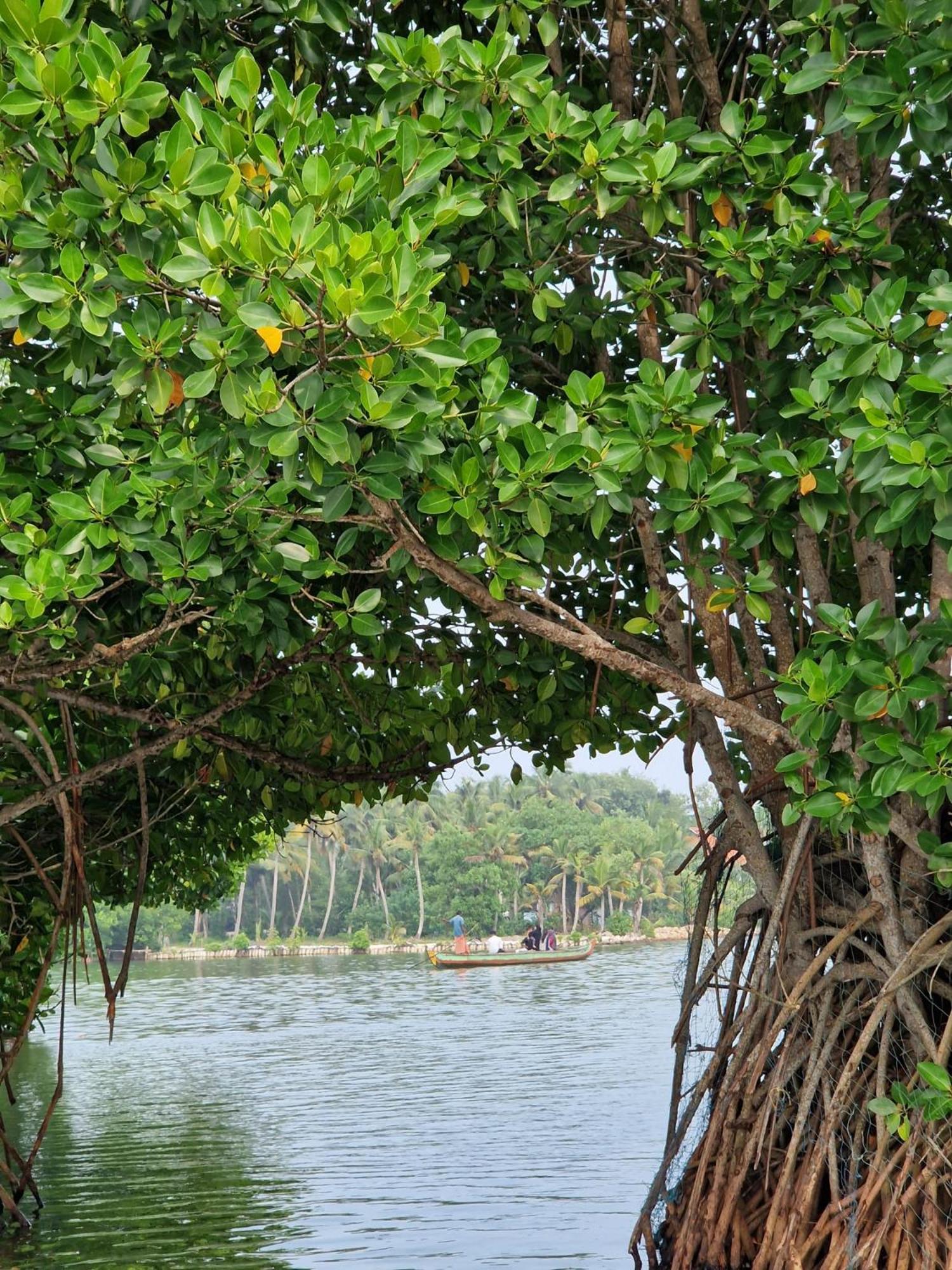 Bliss Homestay Munroe Island Mundrothuruth 外观 照片