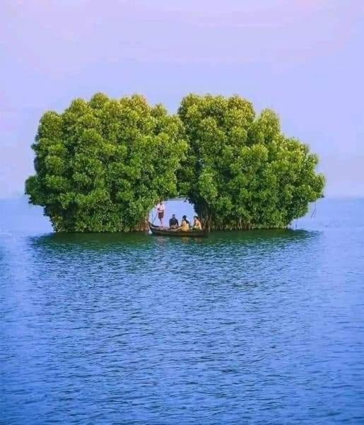 Bliss Homestay Munroe Island Mundrothuruth 外观 照片
